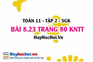 Bài 8.23 trang 80 Toán 11 tập 2 Kết nối tri thức